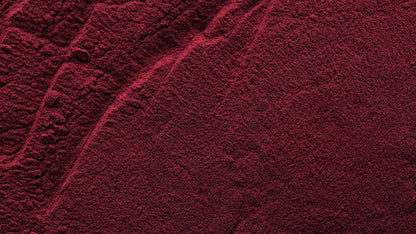 Organic Amazonian Açaí Freeze Dried Powder