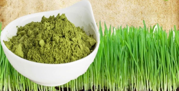 Organic Wheatgrass Powder - Universal Taste