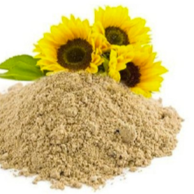 sunflower-powder